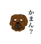 トサミちゃんと土佐弁犬（個別スタンプ：31）