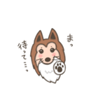 シェルティのチェス（個別スタンプ：27）