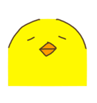 ピヨザベス1世（個別スタンプ：17）