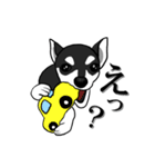 チワワ（個別スタンプ：9）