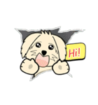 Chayen (English Version)（個別スタンプ：2）