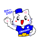 変なTシャツの白猫8（沖縄で挨拶編）（個別スタンプ：7）