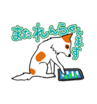 るすばん犬（個別スタンプ：30）