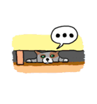 るすばん犬（個別スタンプ：36）