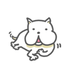 フレンチブルドッグのくんくん（個別スタンプ：26）