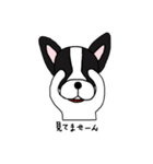 ゴー！ゴー！テリー！（個別スタンプ：21）