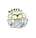 わんこからの連絡（個別スタンプ：28）
