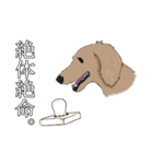 お餅さん（個別スタンプ：34）