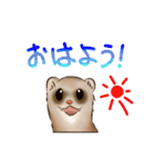 フェレットすたんぷ（個別スタンプ：2）