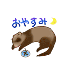 フェレットすたんぷ（個別スタンプ：3）