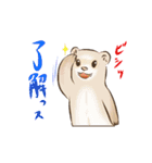 フェレットすたんぷ（個別スタンプ：6）
