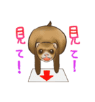 フェレットすたんぷ（個別スタンプ：15）