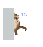 フェレットすたんぷ（個別スタンプ：19）