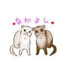 フェレットすたんぷ（個別スタンプ：23）
