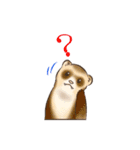 フェレットすたんぷ（個別スタンプ：24）