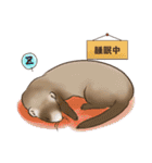 フェレットすたんぷ（個別スタンプ：37）