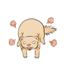 フェレットすたんぷ（個別スタンプ：39）