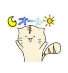 大学生ネコ（個別スタンプ：4）