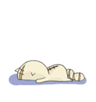 大学生ネコ（個別スタンプ：24）