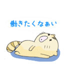 大学生ネコ（個別スタンプ：40）