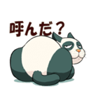 パンダキャット a.k.a にゃるみちゃん2（個別スタンプ：27）
