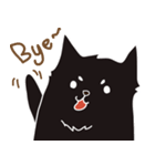 pomeranian chao-guay（個別スタンプ：4）