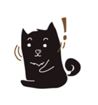 pomeranian chao-guay（個別スタンプ：11）
