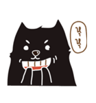 pomeranian chao-guay（個別スタンプ：15）