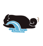 pomeranian chao-guay（個別スタンプ：19）