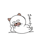 にゃんたま（個別スタンプ：10）