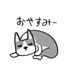 ボストンテリアのネムとラク（個別スタンプ：11）