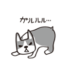 ボストンテリアのネムとラク（個別スタンプ：21）