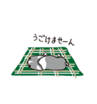 ボストンテリアのネムとラク（個別スタンプ：32）