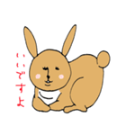うさぎ。（個別スタンプ：16）
