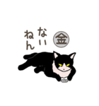 大学猫の関西弁（個別スタンプ：6）