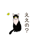 大学猫の関西弁（個別スタンプ：7）
