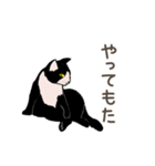 大学猫の関西弁（個別スタンプ：9）