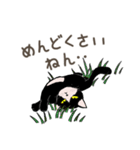 大学猫の関西弁（個別スタンプ：11）