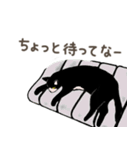 大学猫の関西弁（個別スタンプ：19）