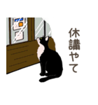 大学猫の関西弁（個別スタンプ：24）