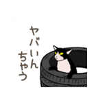 大学猫の関西弁（個別スタンプ：31）