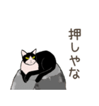 大学猫の関西弁（個別スタンプ：34）