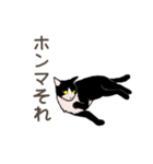 大学猫の関西弁（個別スタンプ：35）