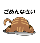 めがねdeネコ（個別スタンプ：5）