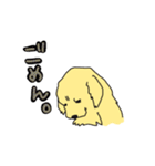 もふもふかへ  れおんくん（個別スタンプ：11）