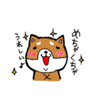 赤パン柴犬（個別スタンプ：9）