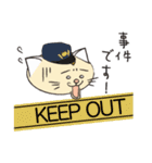 前髪の生えたねこ②（個別スタンプ：16）