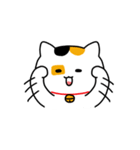 マコねこ（個別スタンプ：2）