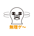 ハト〜ク（個別スタンプ：24）