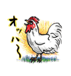 濃男（個別スタンプ：5）